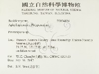 多年臥孔菌屬藏品圖，第2張