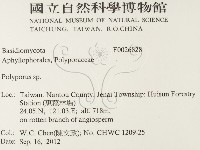 多孔菌屬藏品圖，第2張