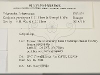 登錄號:F0026829藏品圖，第2張