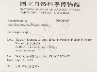 多年臥孔菌屬藏品圖，第2張