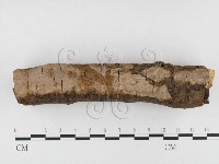 登錄號:F0026831藏品圖，第1張