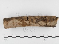 登錄號:F0026831藏品圖，第3張