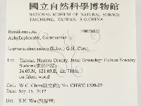 登錄號:F0026832藏品圖，第2張