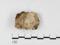 登錄號:F0026832藏品圖，第1張