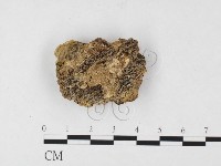 登錄號:F0026832藏品圖，第3張