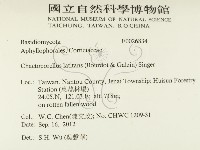登錄號:F0026834藏品圖，第2張