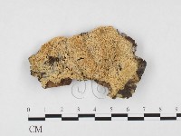 登錄號:F0026834藏品圖，第1張