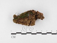 登錄號:F0026835藏品圖，第1張