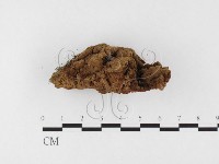 登錄號:F0026835藏品圖，第3張