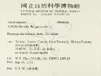 登錄號:F0026836藏品圖，第2張