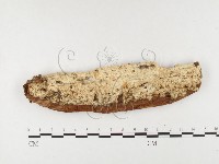 登錄號:F0026837藏品圖，第1張