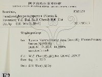 登錄號:F0026838藏品圖，第2張