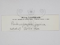 登錄號:F0026838藏品圖，第3張