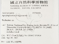 附毛菌屬藏品圖，第2張