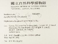 登錄號:F0026843藏品圖，第2張