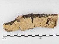 登錄號:F0026843藏品圖，第1張