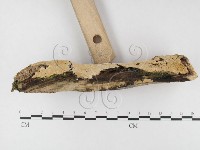 登錄號:F0026843藏品圖，第3張