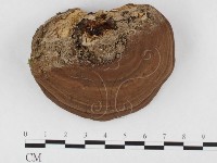 登錄號:F0026844藏品圖，第1張