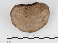 登錄號:F0026844藏品圖，第3張