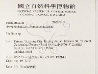 木層孔菌屬藏品圖，第2張