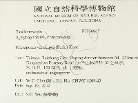 登錄號:F0026847藏品圖，第2張