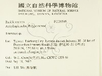 栓菌屬藏品圖，第2張