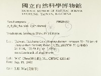 登錄號:F0026850藏品圖，第2張