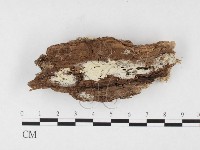 登錄號:F0026850藏品圖，第1張