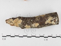 登錄號:F0026851藏品圖，第1張