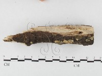 登錄號:F0026851藏品圖，第3張