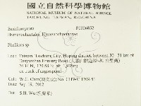 木層孔菌屬藏品圖，第2張