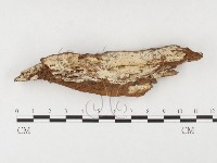 登錄號:F0026853藏品圖，第1張