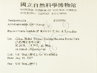 登錄號:F0026856藏品圖，第2張
