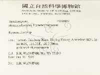 刺革菌屬藏品圖，第2張