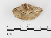 登錄號:F0026858藏品圖，第1張