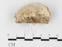 登錄號:F0026858藏品圖，第4張