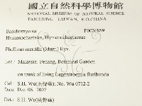 登錄號:F0026859藏品圖，第2張