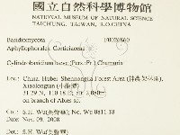 登錄號:F0026860藏品圖，第2張