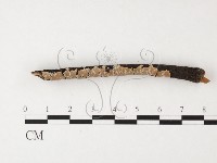 登錄號:F0026860藏品圖，第3張