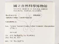 靈芝屬藏品圖，第2張