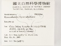 纖孔菌屬藏品圖，第2張