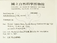登錄號:F0026868藏品圖，第2張