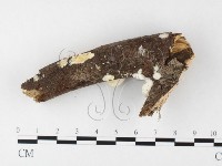 登錄號:F0026868藏品圖，第1張