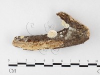 登錄號:F0026868藏品圖，第3張