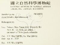 登錄號:F0026870藏品圖，第2張