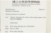 登錄號:F0026879藏品圖，第4張