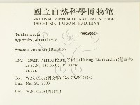 登錄號:F0026880藏品圖，第2張