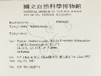 革菌屬藏品圖，第2張