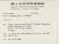 集毛菌屬藏品圖，第2張