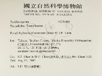 登錄號:F0026887藏品圖，第2張